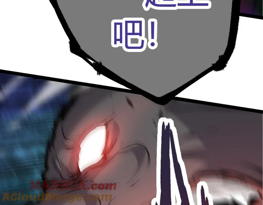 177.jpg