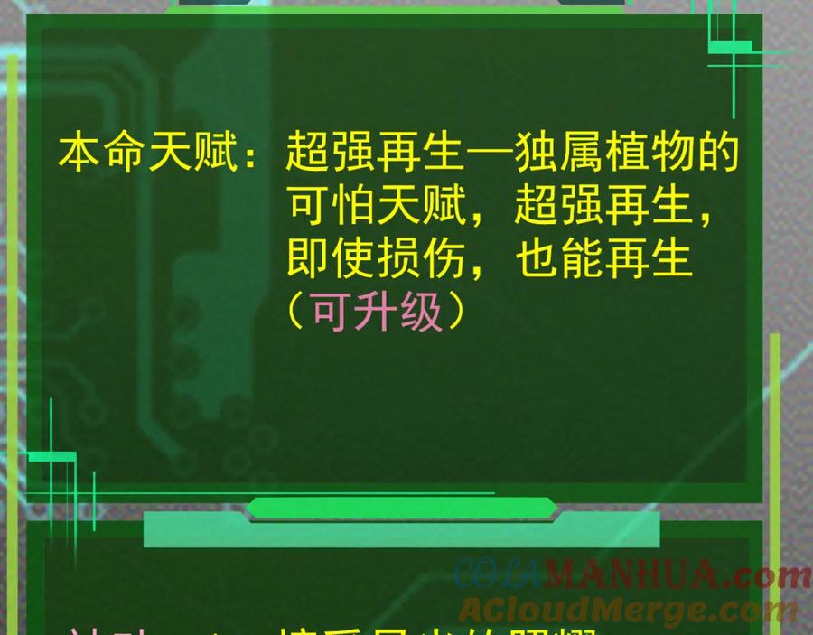 217.jpg