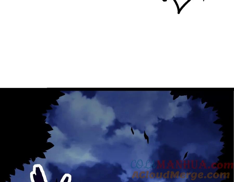 137.jpg
