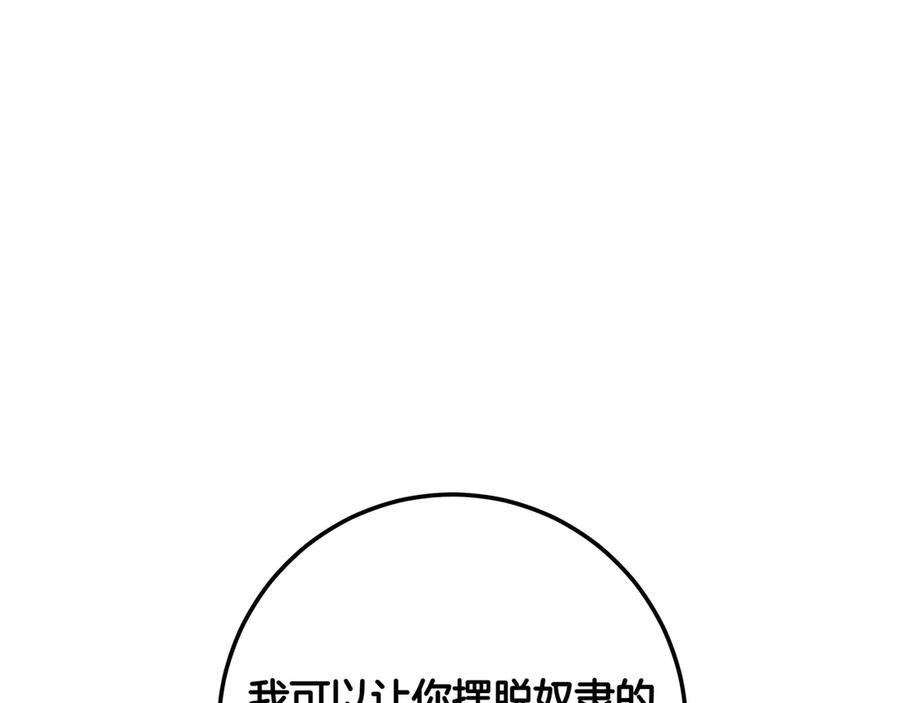 95.jpg