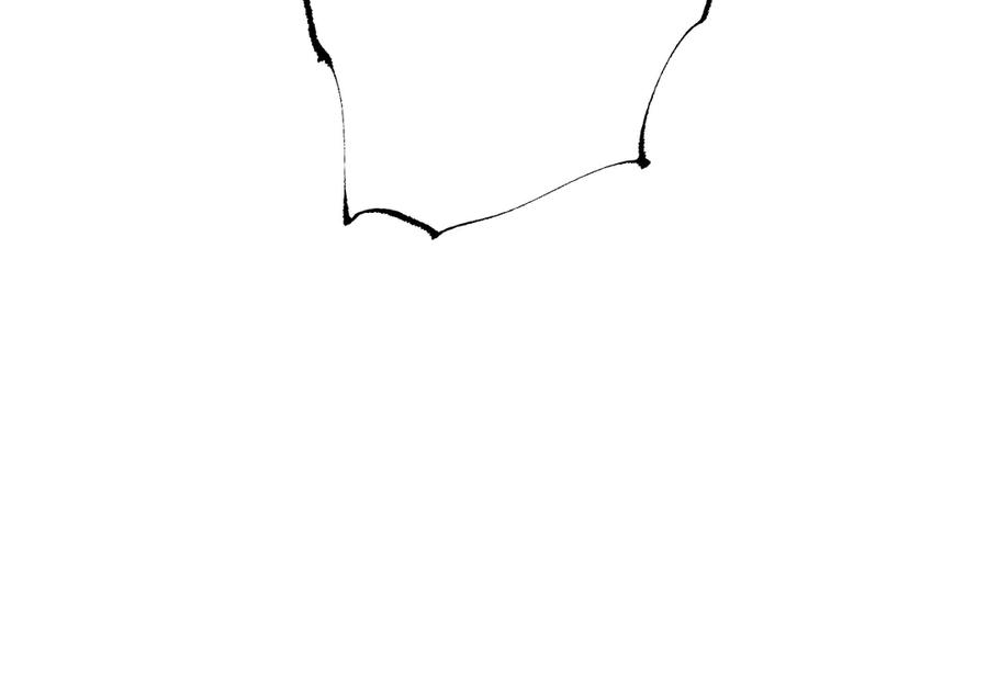 84.jpg