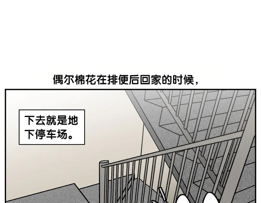 第62话地下停车场-我的狗子叫棉花-milo+Polarfox（第5张）