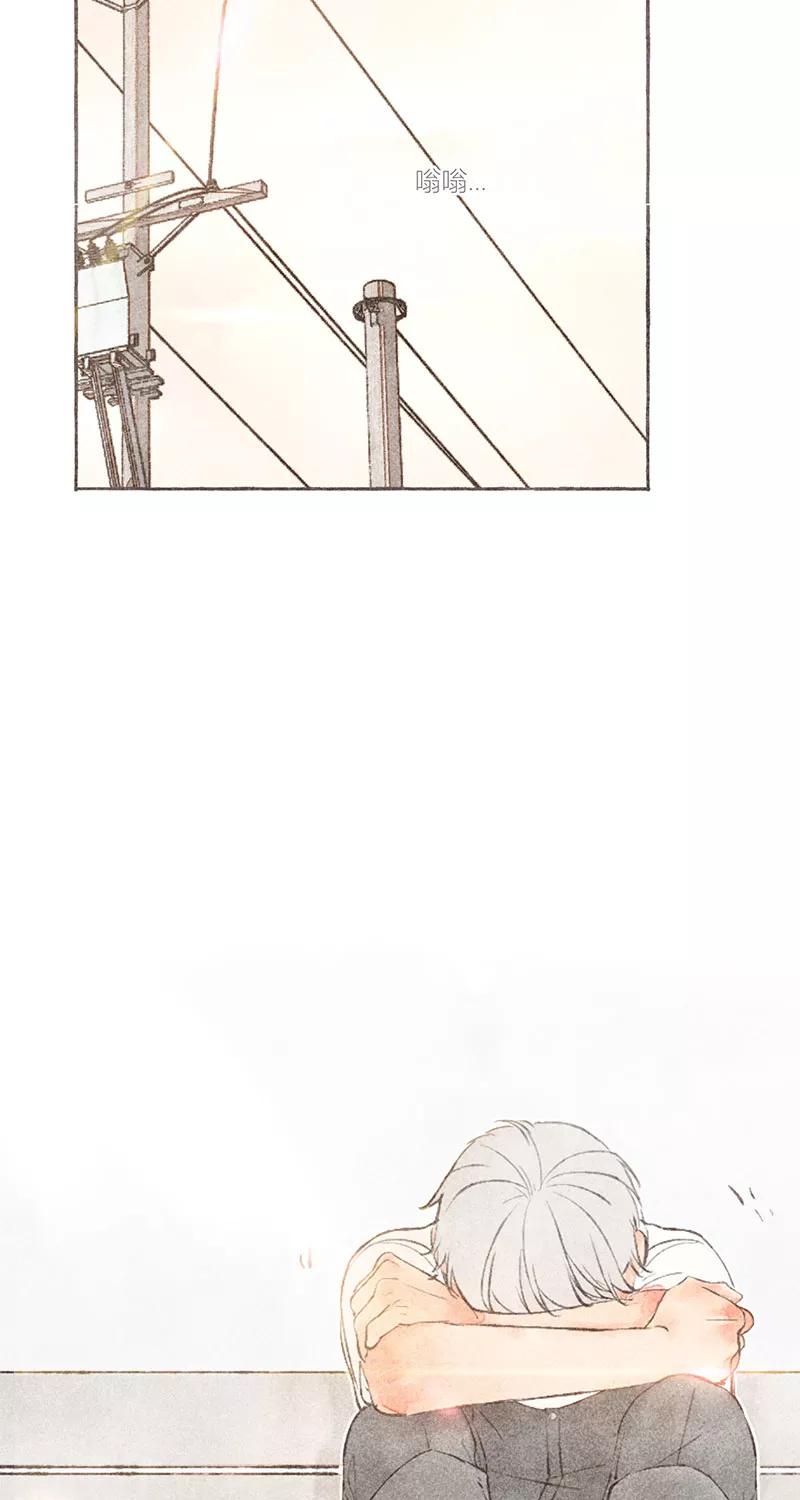39.jpg