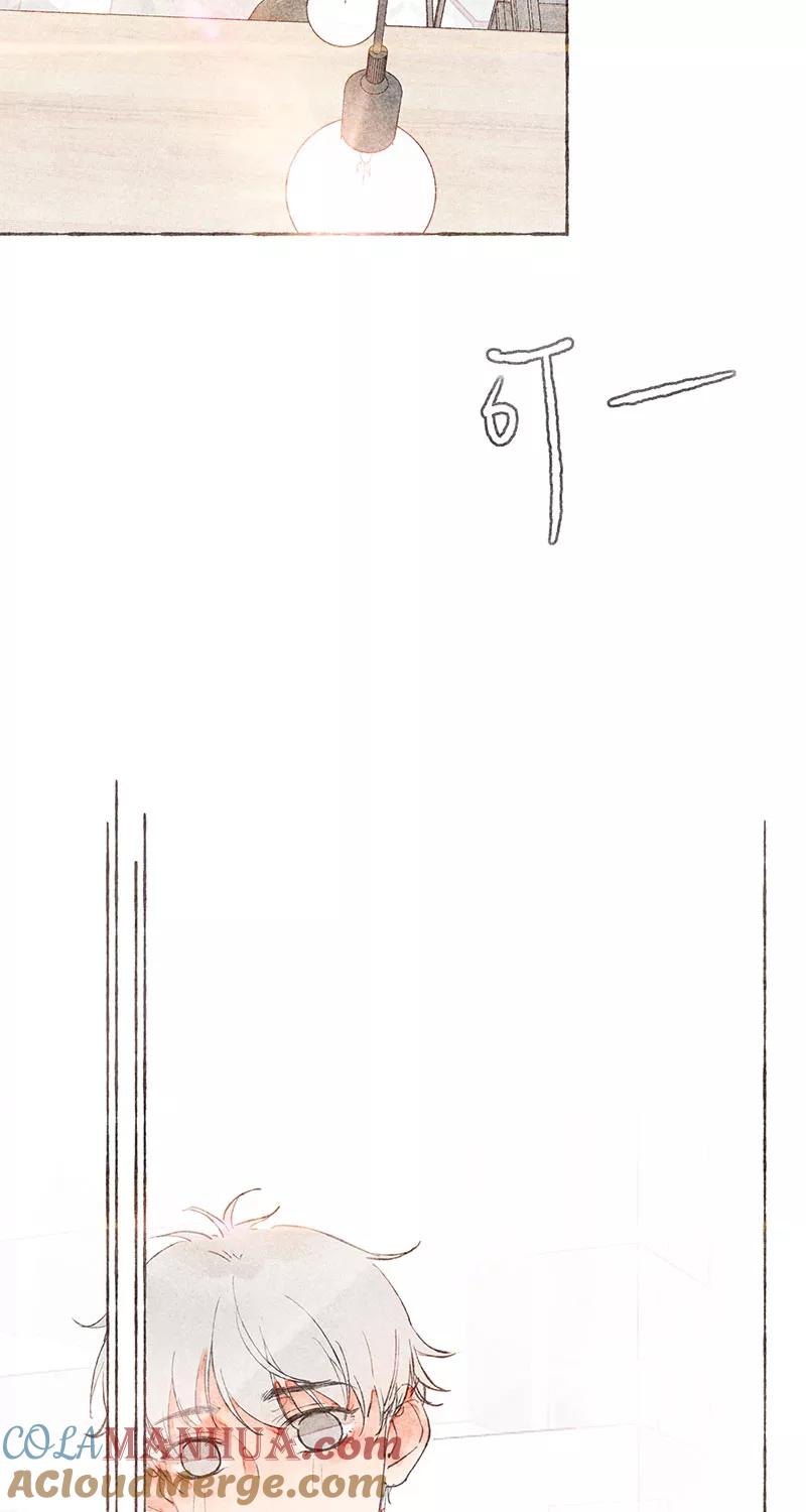 46.jpg
