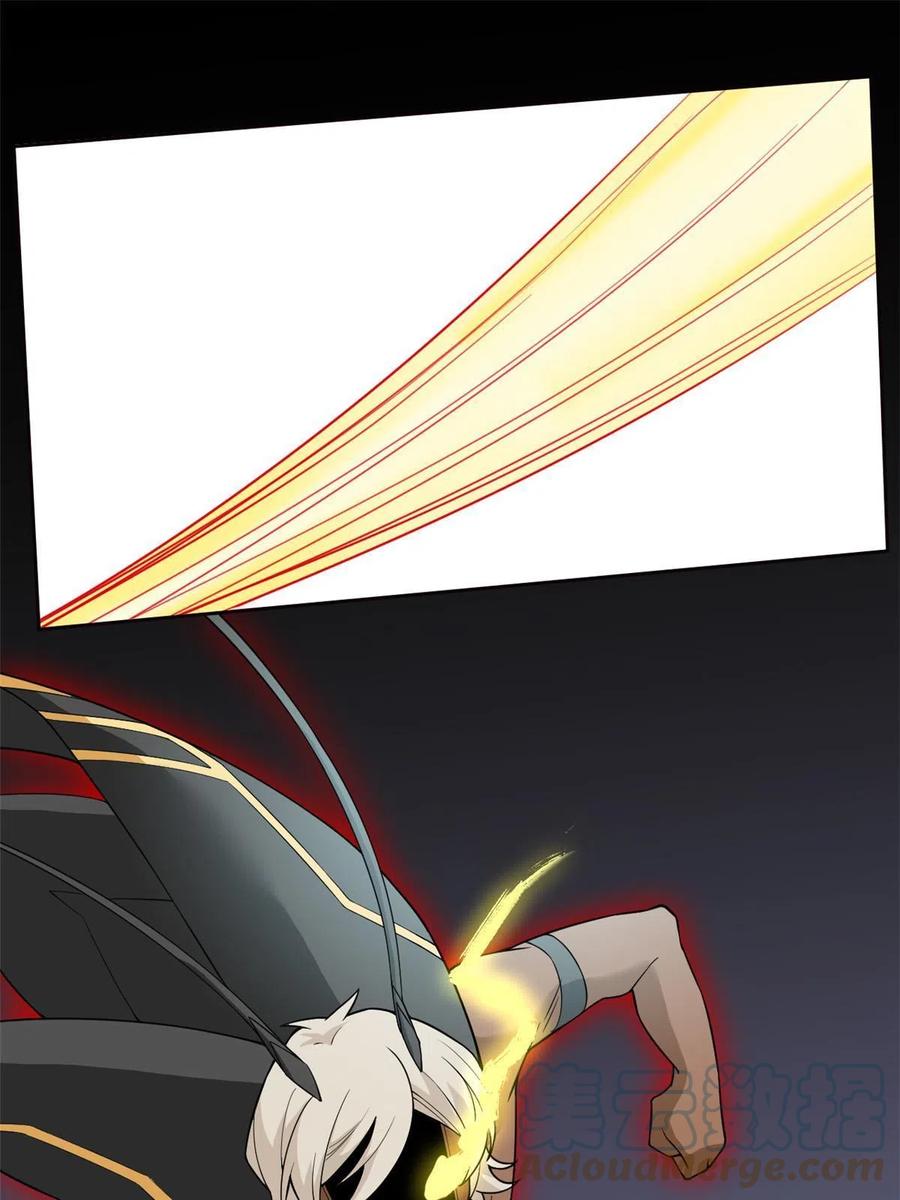 41.jpg