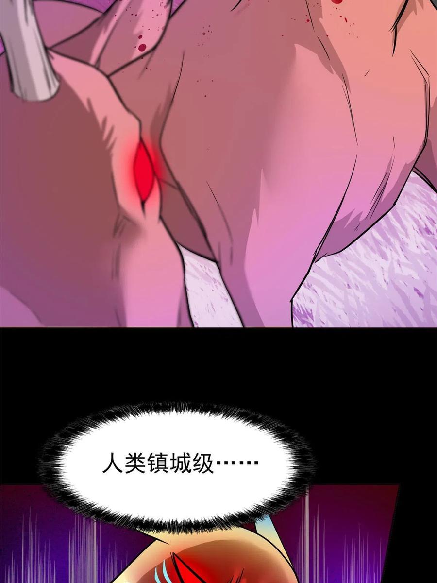 41.jpg