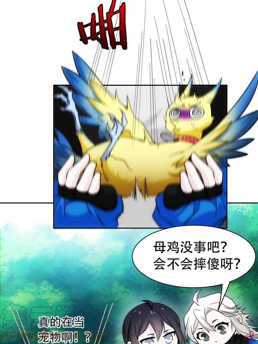 13.jpg