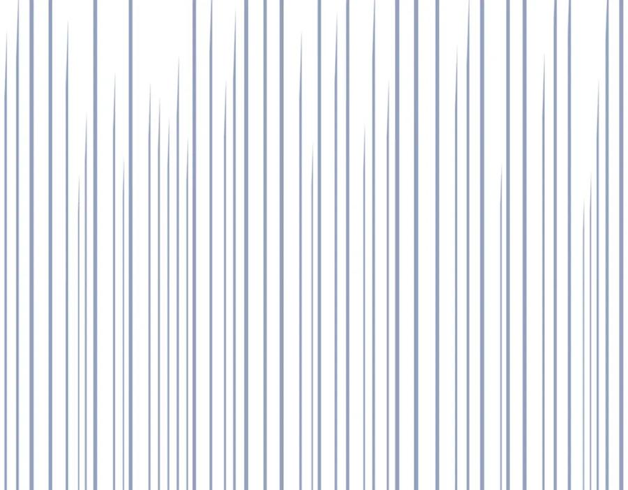 96.jpg