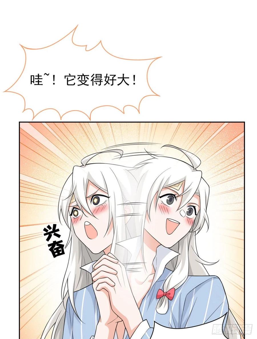 26.jpg