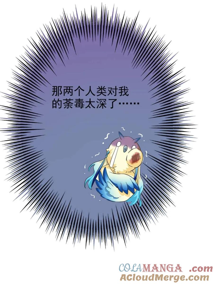 61.jpg