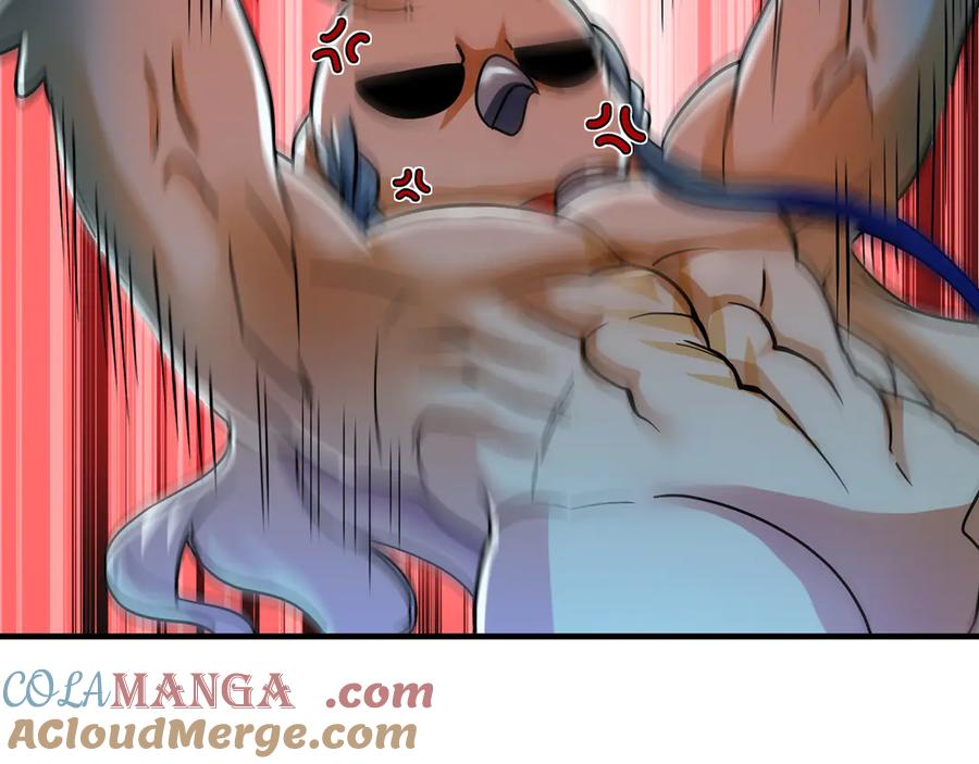 41.jpg