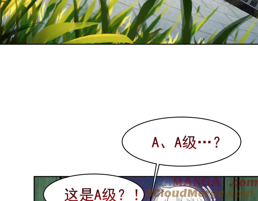 53.jpg