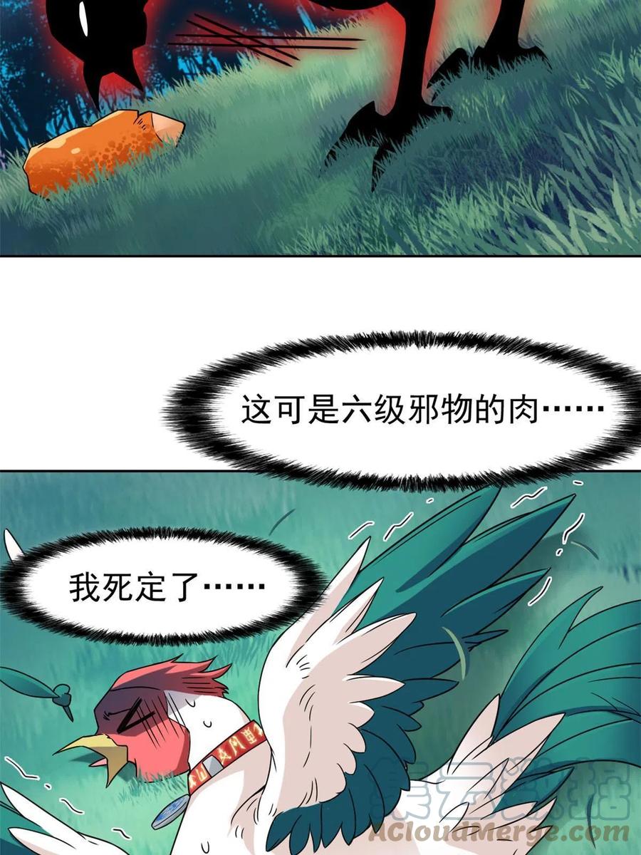 31.jpg