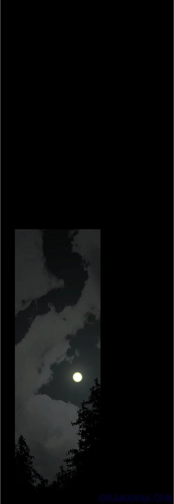 64.jpg