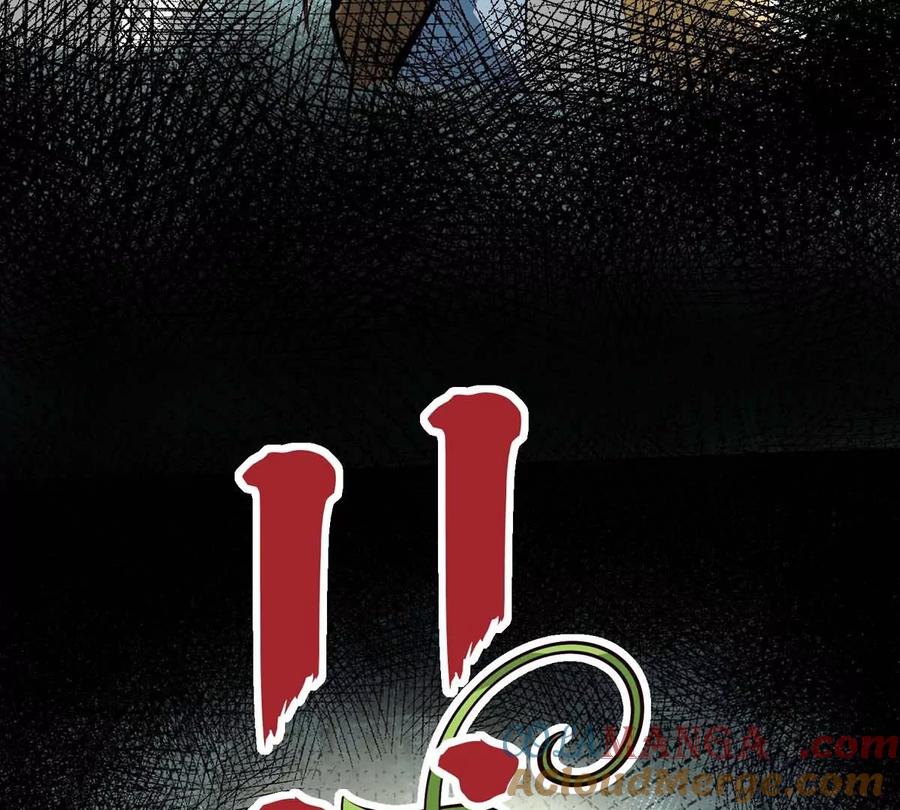 113.jpg
