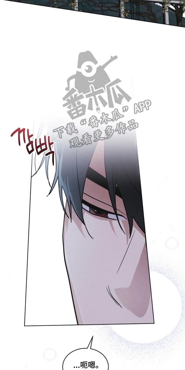 第171章：【第三季】去济州岛-彩虹城-Pnaiuenm（第6张）
