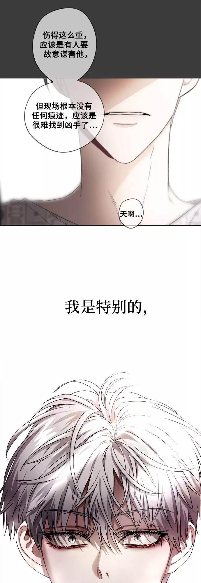 97.jpg