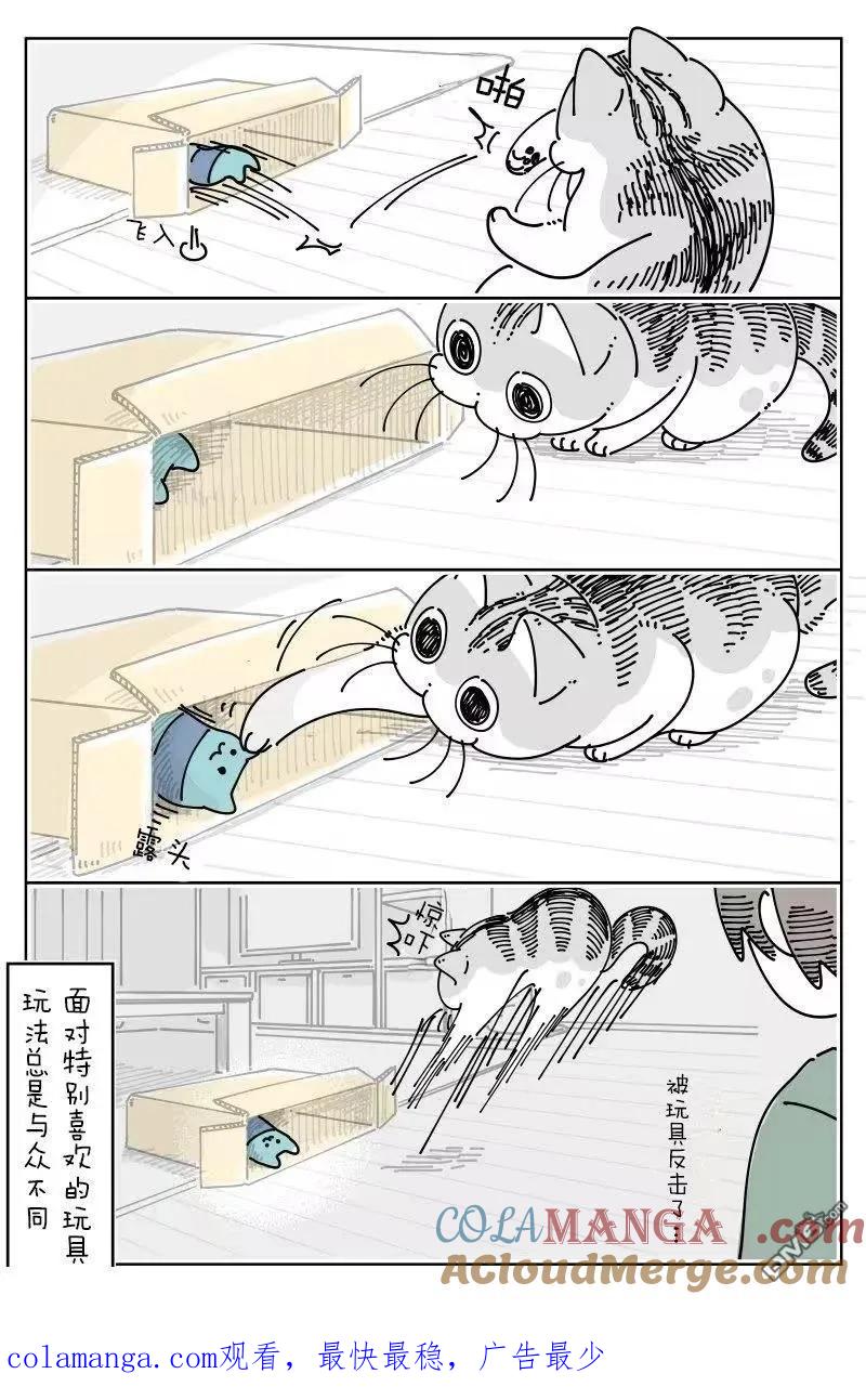 第266话-关于养猫我一直是新手-キュルZ（第2张）