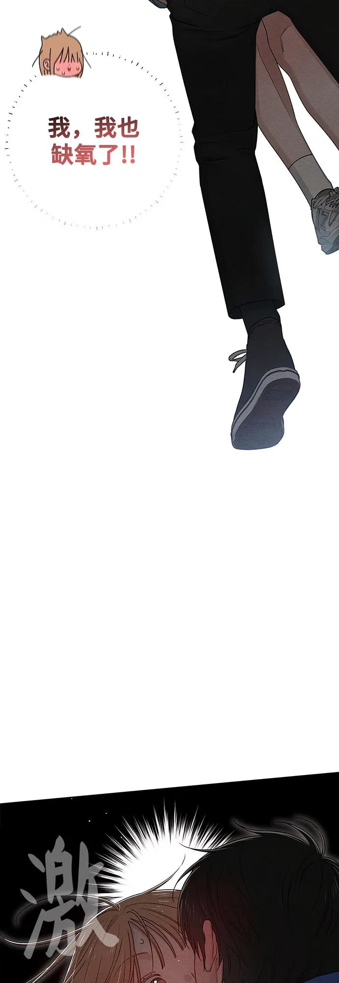 51.jpg