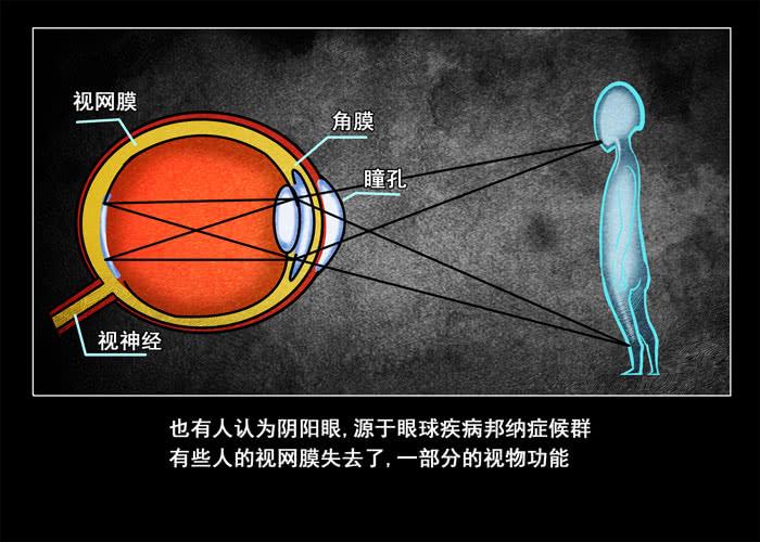 阴阳眼5-催眠师-奋斗的蚊子（第7张）