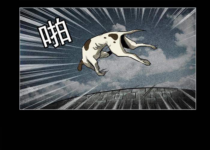 老狗01-催眠师-奋斗的蚊子（第13张）