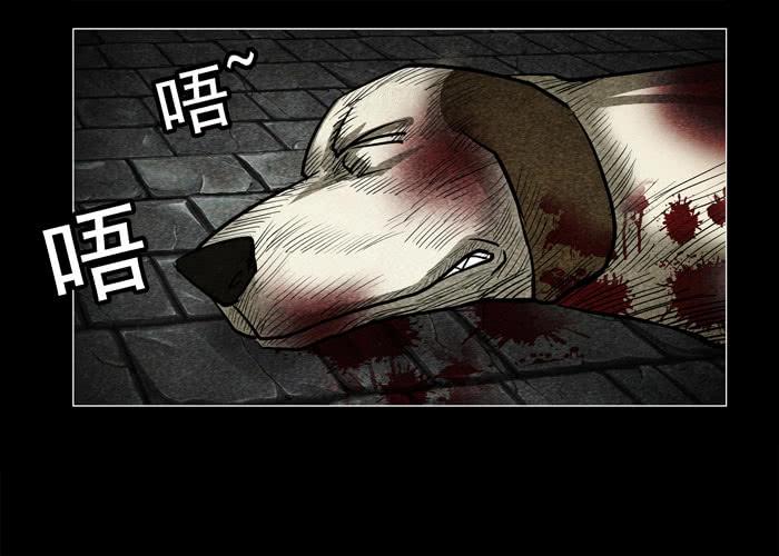 老狗01-催眠师-奋斗的蚊子（第16张）