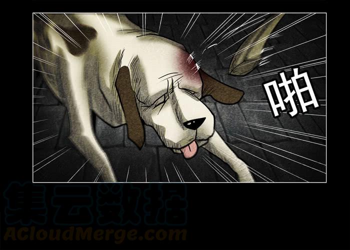 老狗01-催眠师-奋斗的蚊子（第11张）