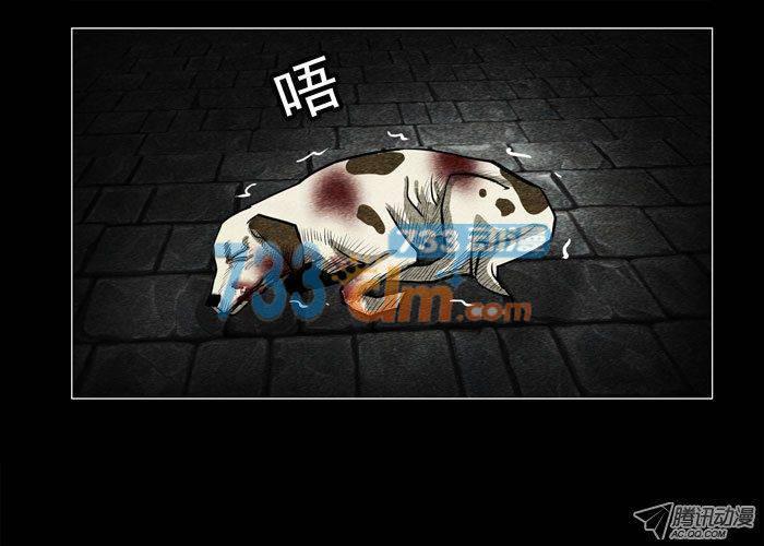 老狗02-催眠师-奋斗的蚊子（第13张）