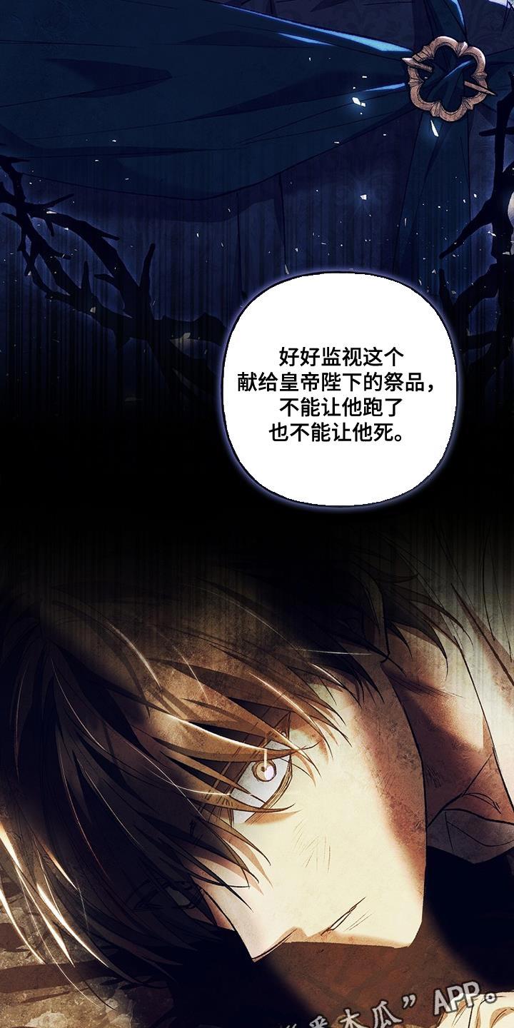 第42章：透视-魔兵传奇-UIianem（第29张）