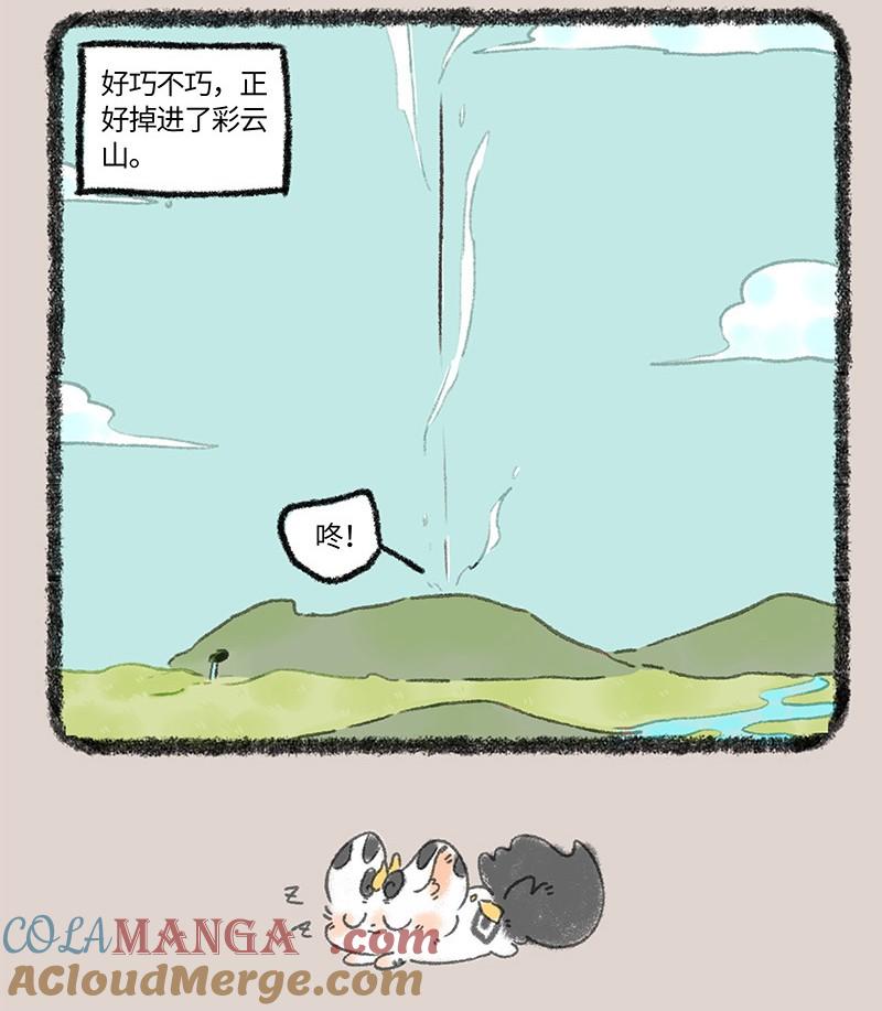 6.jpg