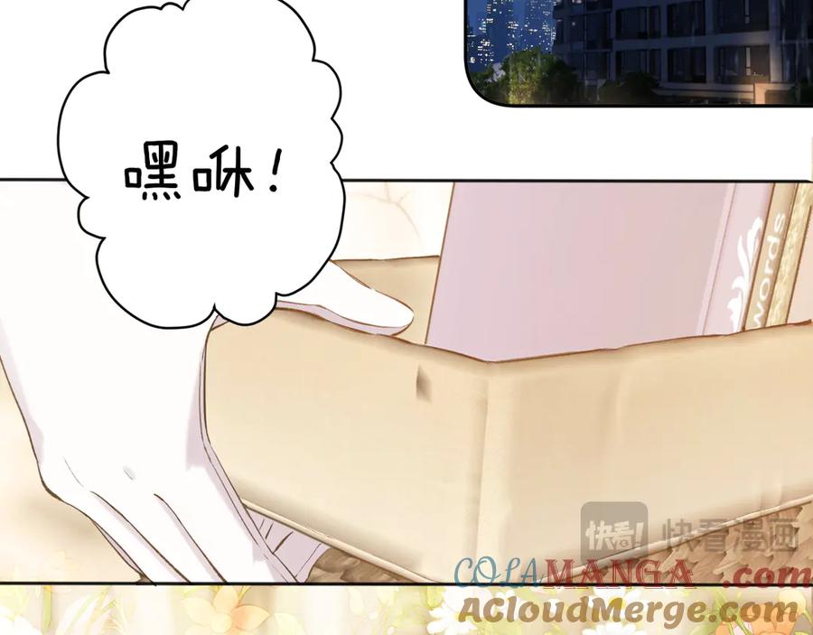 113.jpg