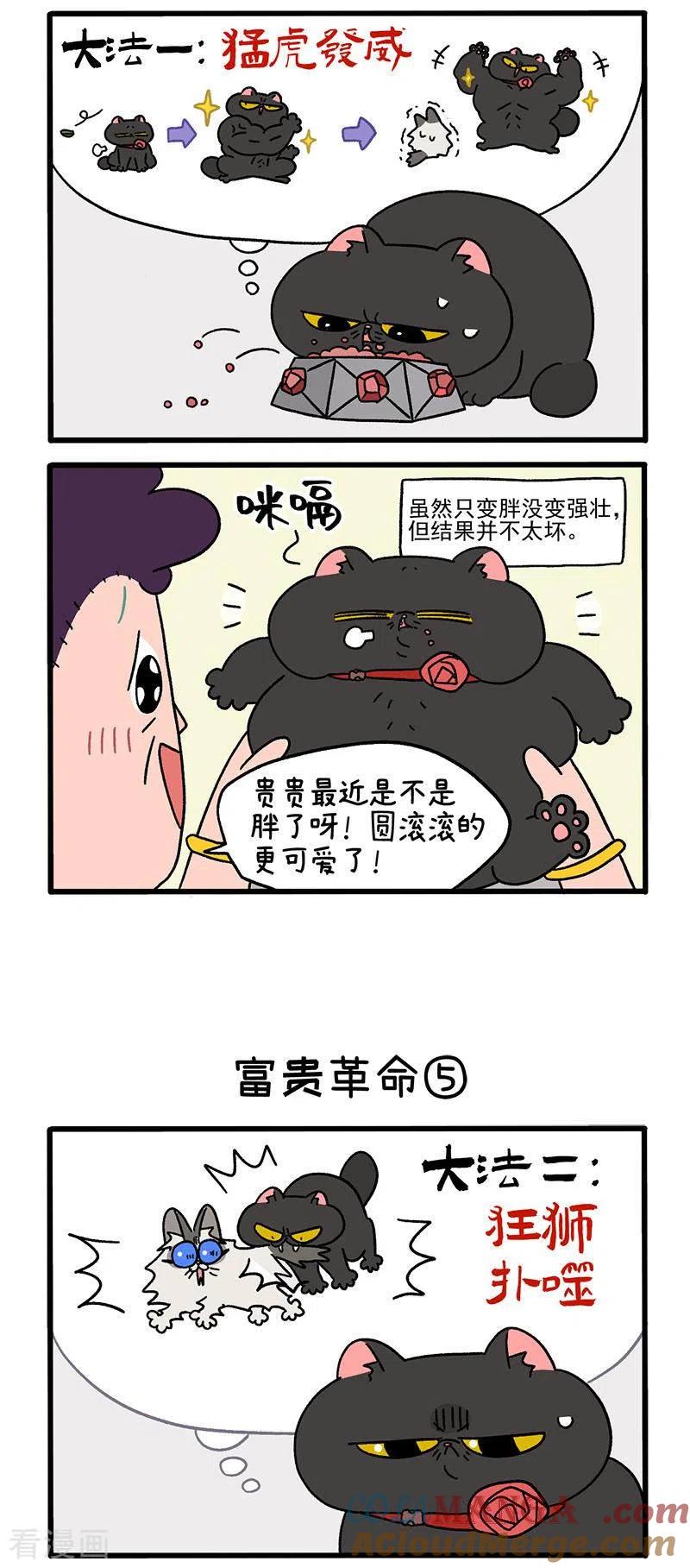 第31话2富贵革命2-阿满和麦茶-新漫画 日胖大海寺（第2张）