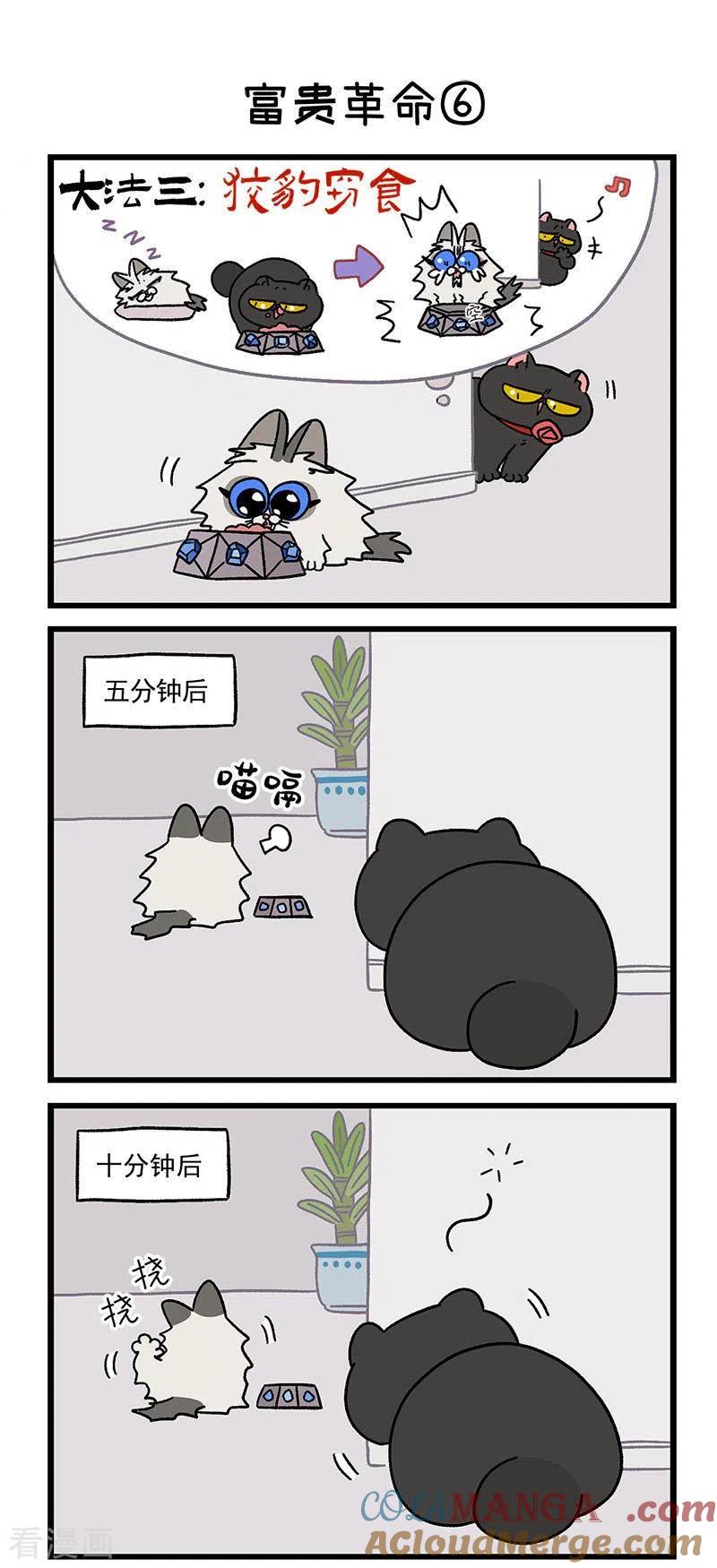 第31话2富贵革命2-阿满和麦茶-新漫画 日胖大海寺（第4张）
