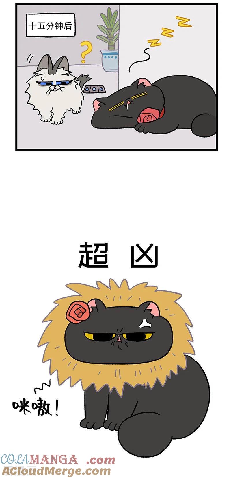 第31话2富贵革命2-阿满和麦茶-新漫画 日胖大海寺（第5张）