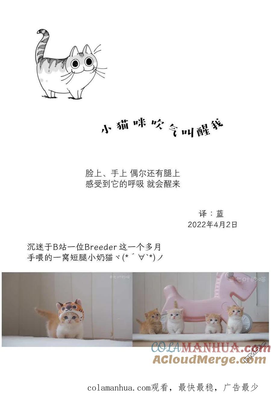 第110话-关于养猫我一直是新手-キュルZ（第2张）