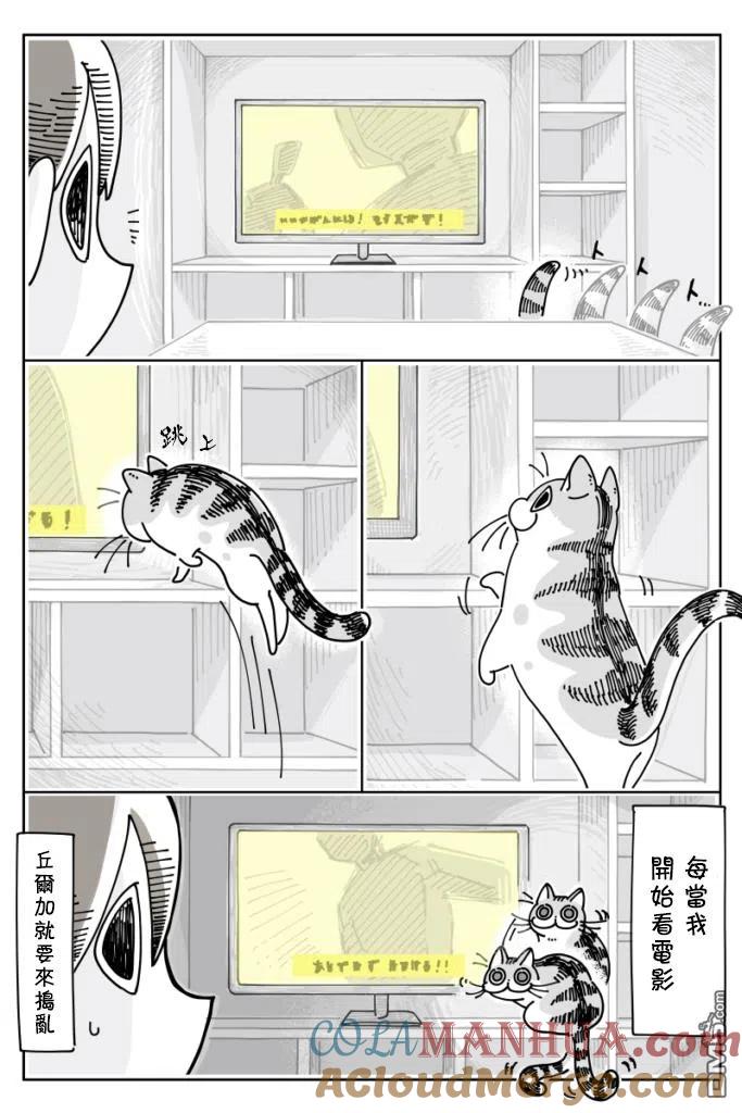 第21话-关于养猫我一直是新手-キュルZ（第1张）