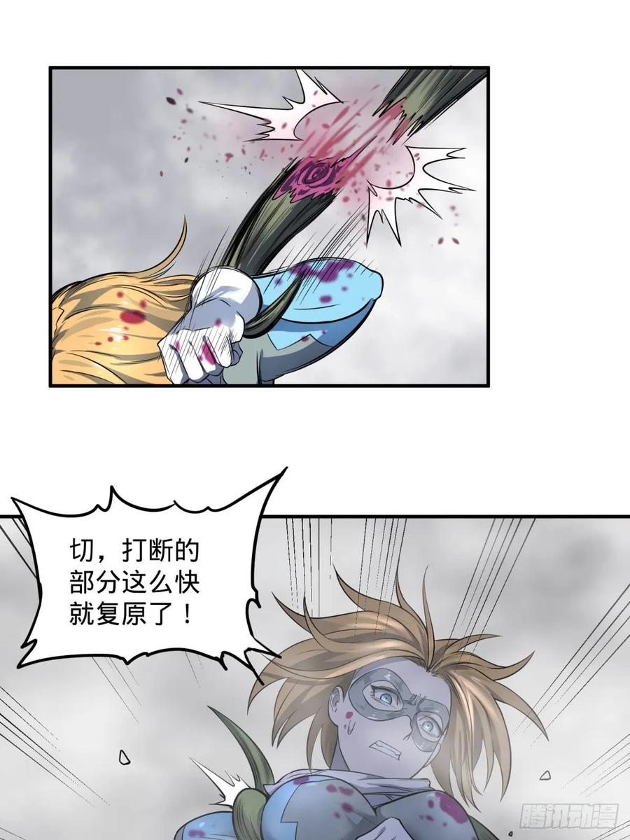15.jpg