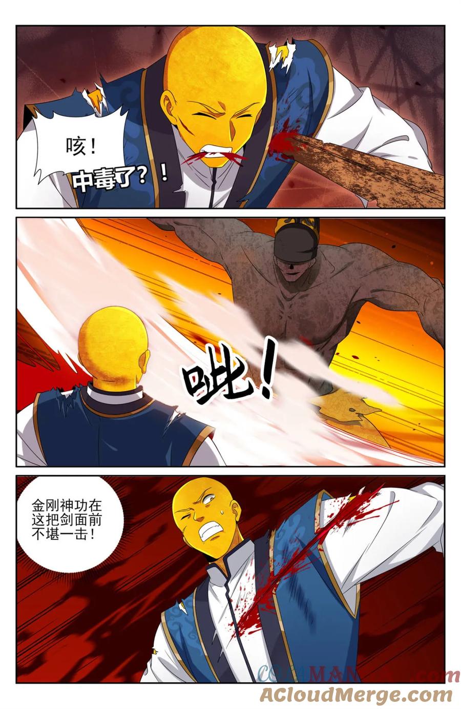 15.jpg