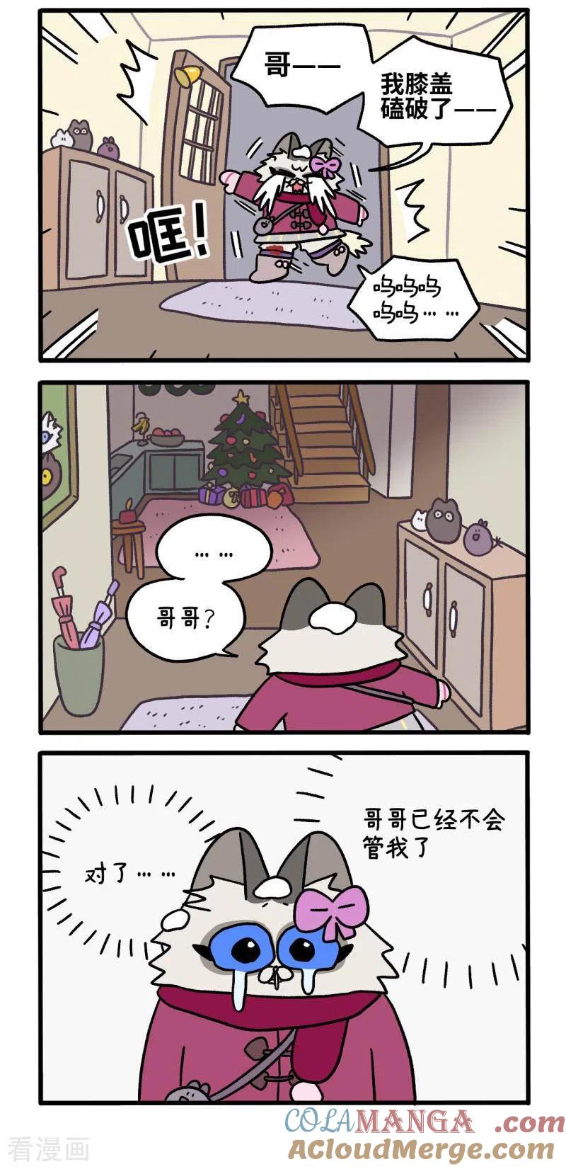 番外12上花娇的圣诞愿望2-阿满和麦茶-新漫画 日胖大海寺（第3张）