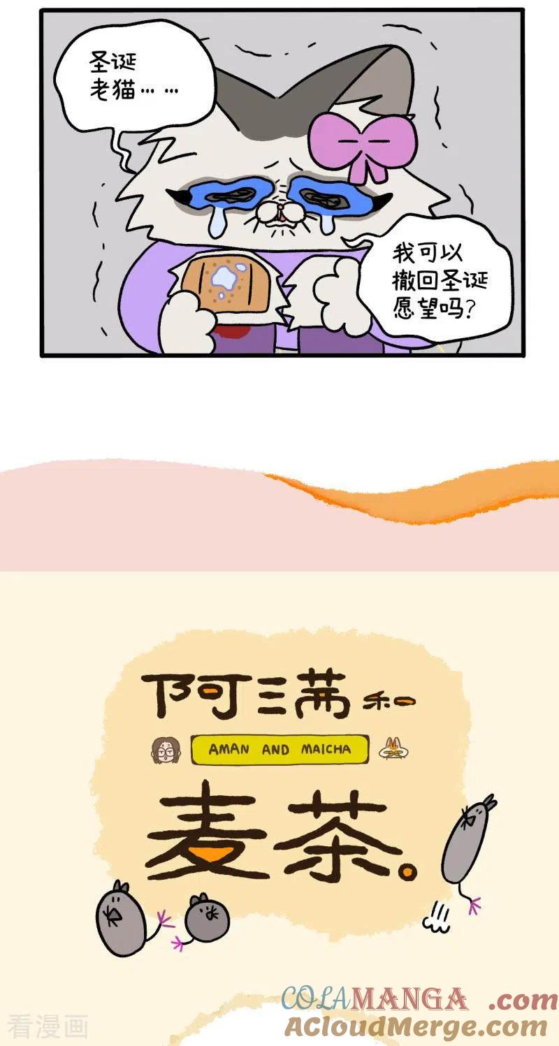 番外12上花娇的圣诞愿望2-阿满和麦茶-新漫画 日胖大海寺（第5张）