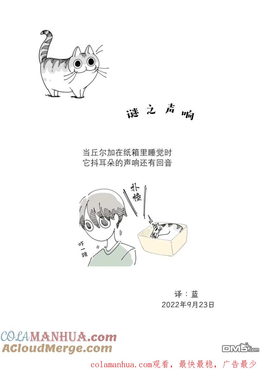 第133话-关于养猫我一直是新手-キュルZ（第3张）