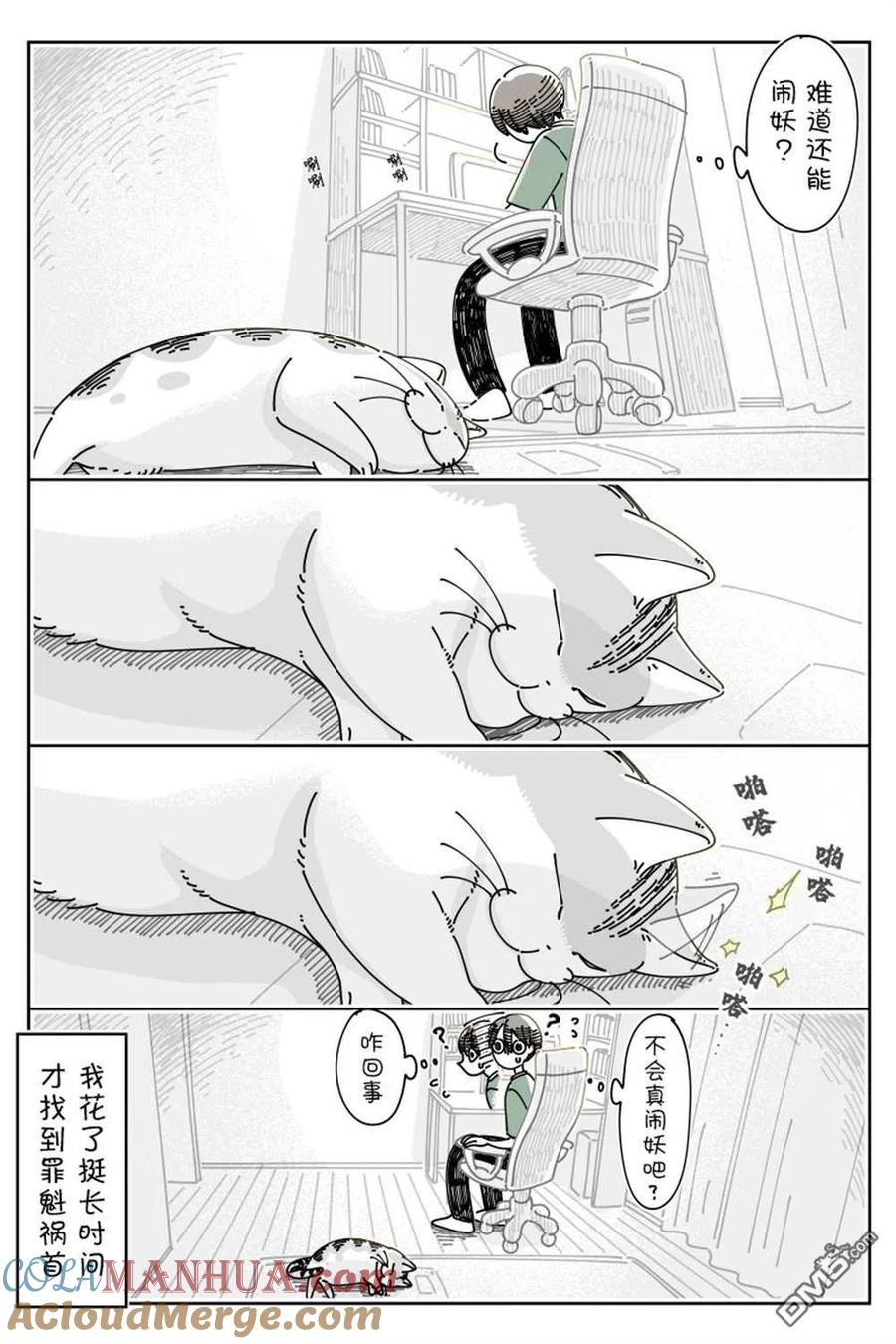 第133话-关于养猫我一直是新手-キュルZ（第2张）