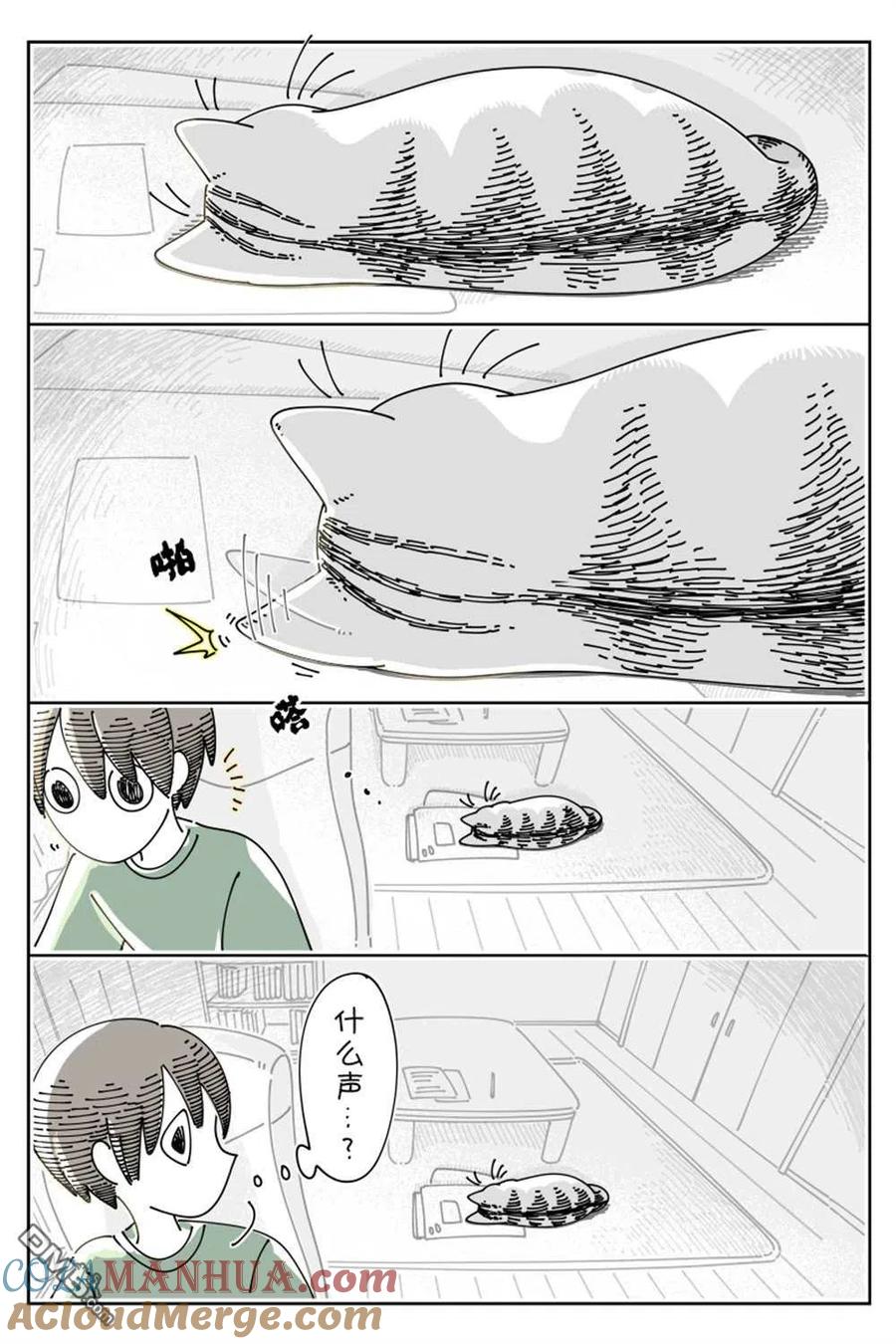 第133话-关于养猫我一直是新手-キュルZ（第1张）