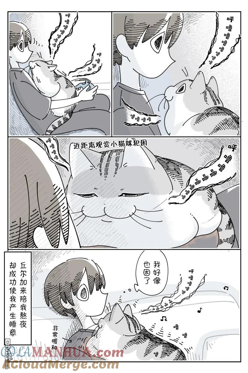第134话-关于养猫我一直是新手-キュルZ（第2张）