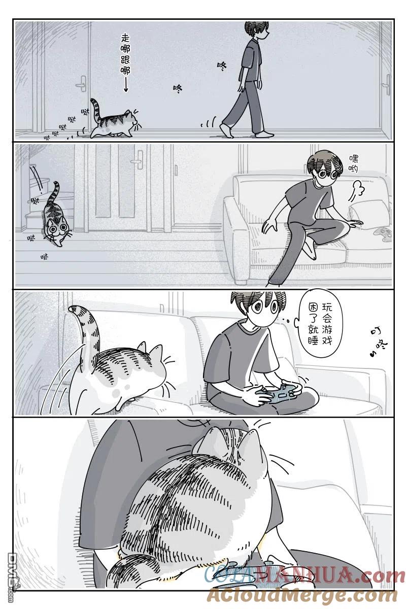 第134话-关于养猫我一直是新手-キュルZ（第1张）
