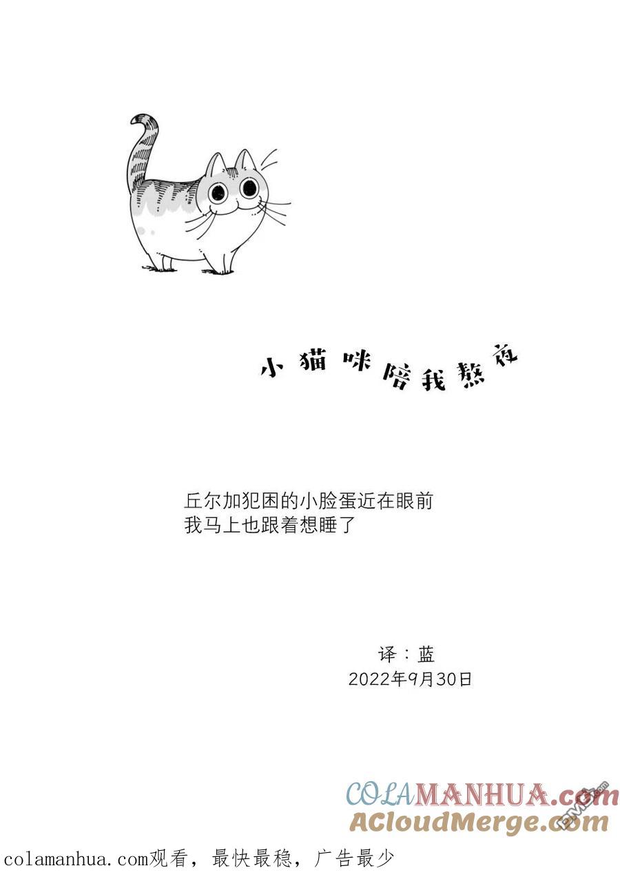 第134话-关于养猫我一直是新手-キュルZ（第3张）
