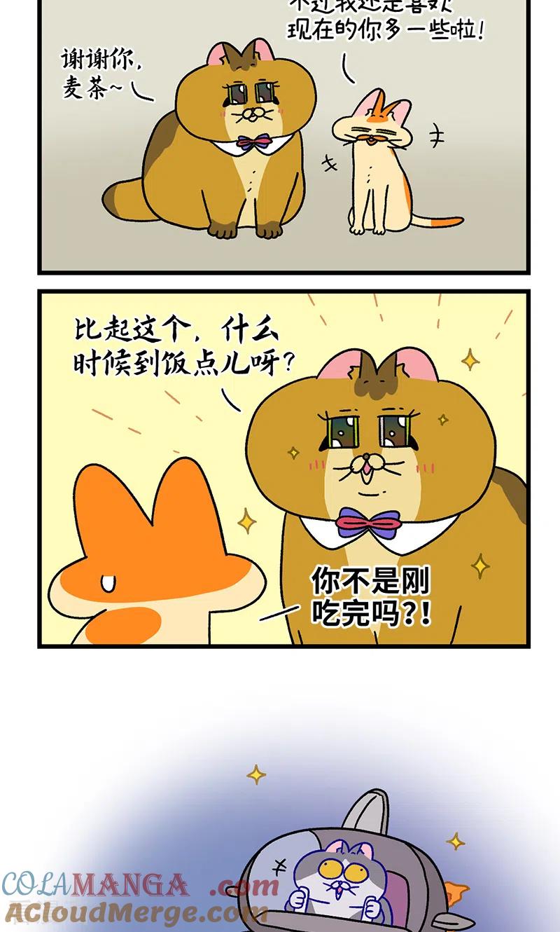 番外18下德皮特的奇幻漂流2-阿满和麦茶-新漫画 日胖大海寺（第6张）