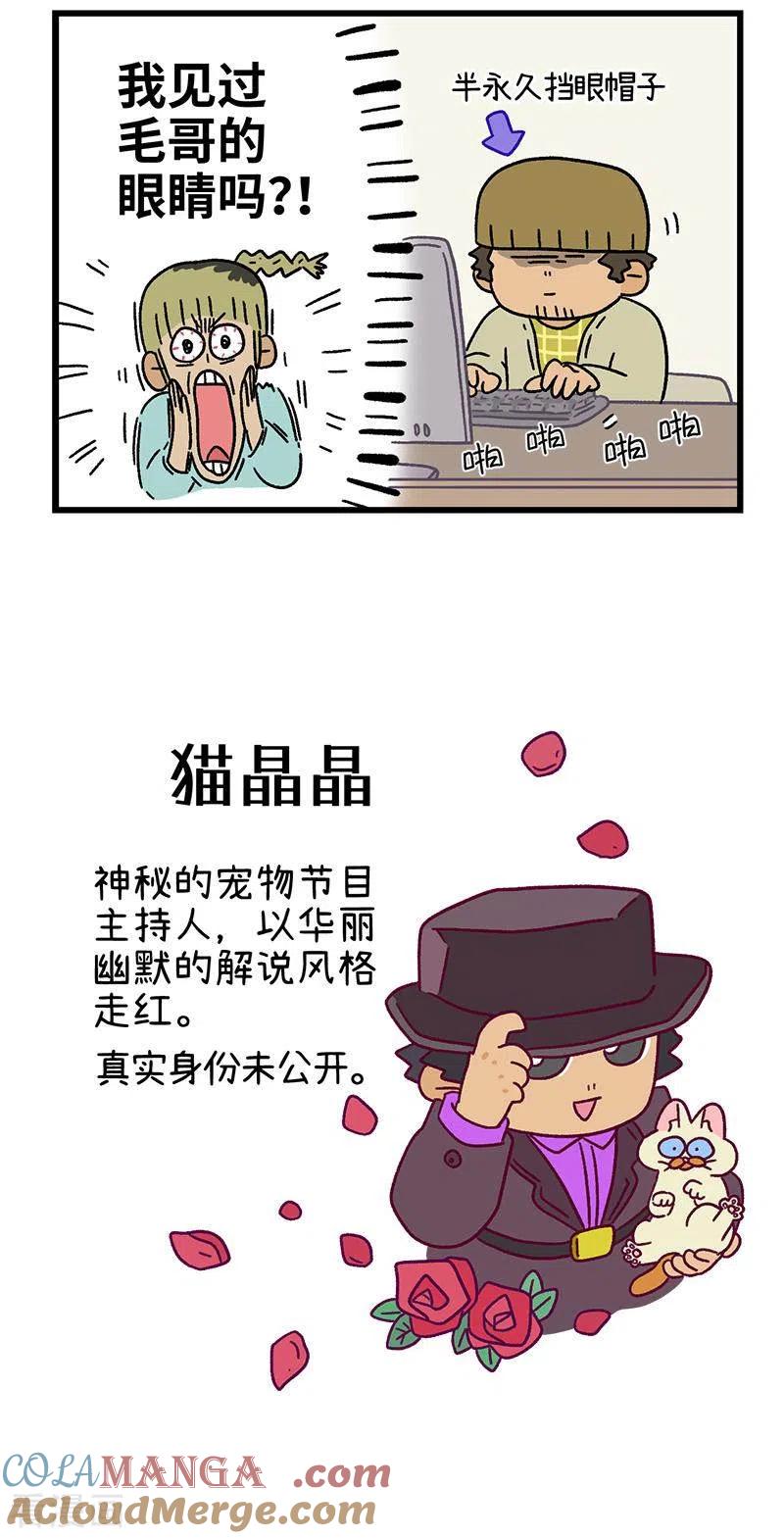 第83话猫晶晶疑云1-阿满和麦茶-新漫画 日胖大海寺（第5张）