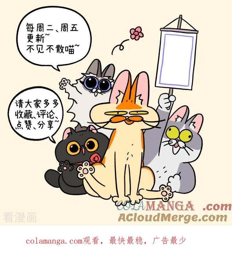 第83话猫晶晶疑云1-阿满和麦茶-新漫画 日胖大海寺（第7张）