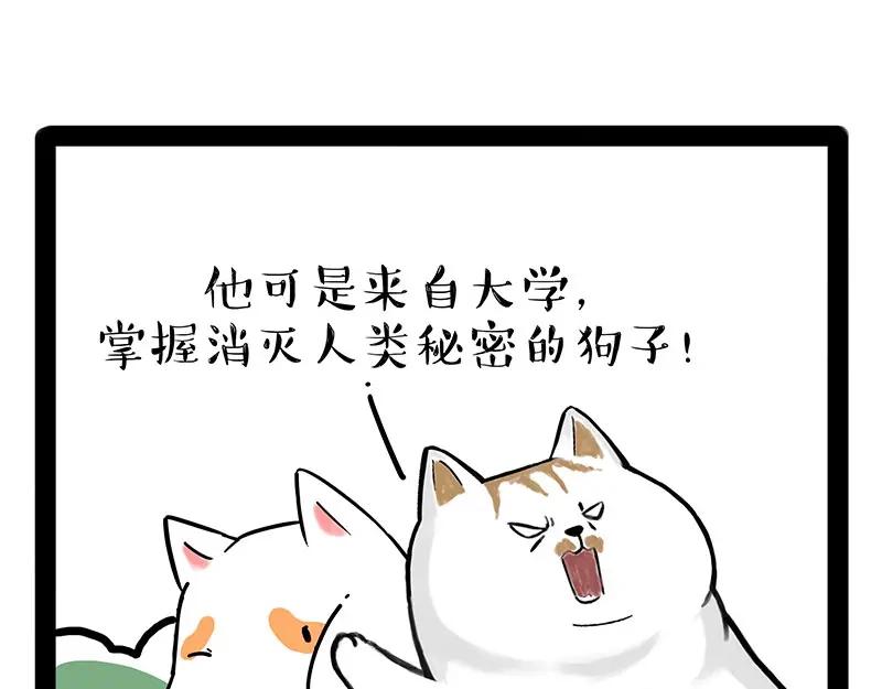 51.jpg